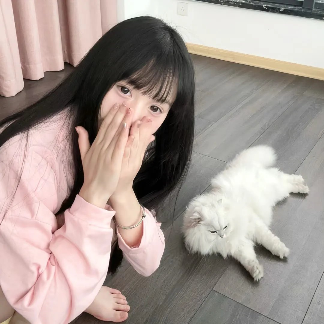 月陨回声